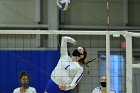 VB vs ENC  Wheaton College Women's Volleyball vs Eastern Nazarene College. - Photo By: KEITH NORDSTROM : Wheaton, volleyball, VB, Eastern Nazarene College
